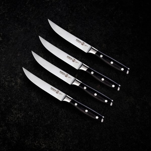Messermeister Avanta 4-delige steakmessenset